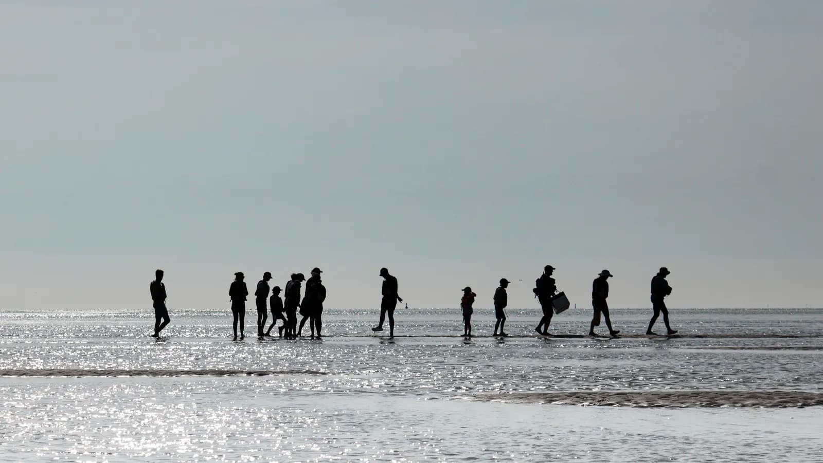 Paysages et évasions